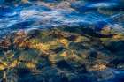 USA, New Jersey, Pinelands National Reserve. Reflections on clear lake water. Art Print